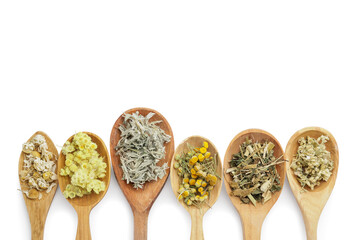 Spoons with different herbs on white background