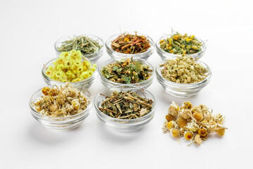 Bowls with different herbs on white background