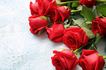 Bouquet of beautiful red roses on color background