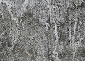 Obraz premium The rough and porous texture of the gray concrete wall, Black and white abstract background 