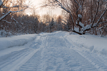 Cold winter and a camera in your hands