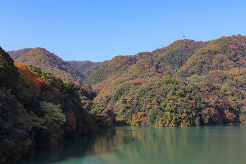 津久井湖の紅葉（神奈川県相模原市緑区）