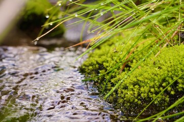 Flowing water