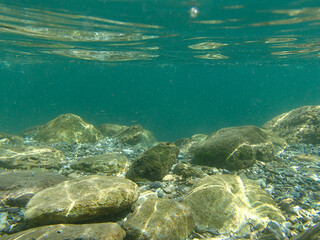 仁淀川の水中風景