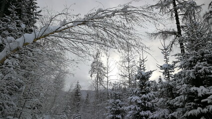 Winter,Schnee,Landschaft
