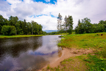 The shore of a pond in a Russian village with birches on a clear summer day