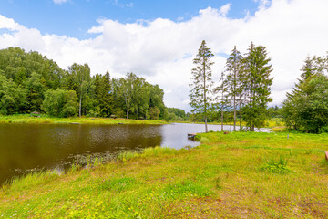 The shore of a pond in a Russian village with birches on a clear summer day