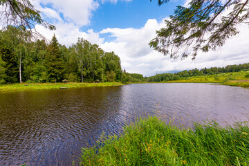 The shore of a pond in a Russian village with birches on a clear summer day