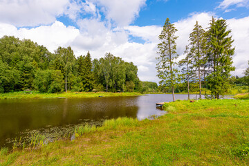 The shore of a pond in a Russian village with birches on a clear summer day