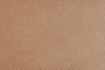 Surface of rough beige blank paper
