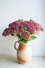 Purple flowers in a vase. Sedum succulent