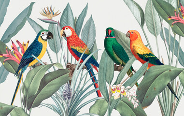 Colorful macaws with tropical background illustration