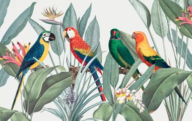 Foto op Canvas Colorful macaws with tropical background illustration © Rawpixel.com