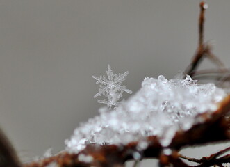 Schneeflocken