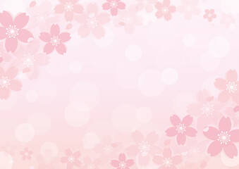 淡くて優しい桜の背景　フレーム　A3横　Cherry blossoms frame background