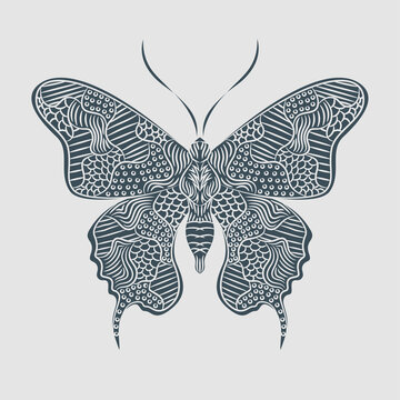 Butterfly illustration, mandala zentangle