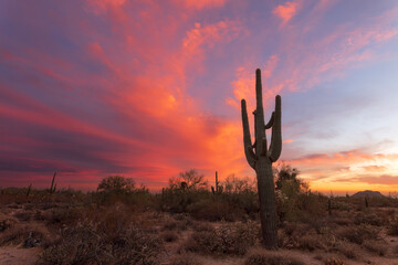 Fototapete Scenic Arizona Desert Landscape At Sunset Fototapeten Mdesigner125