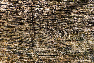 The texture of an old wooden house covered with boards.