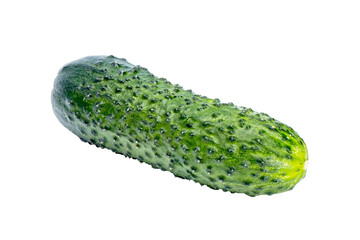Classic young cucumber. White background without shadow. In isolation.