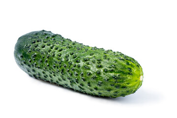 Classic young cucumber. White background without shadow. In isolation.