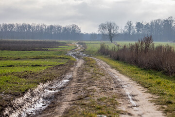 Dirt road through an autumn landscape with fields, Muddy road through green fields, last snow, horizon