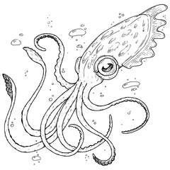 Squid icon. Vector cartoon octopus.