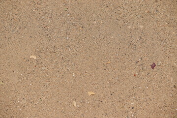 Sandy shiny brown dust texture