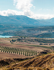 Swamp of the Bermejales in Granada