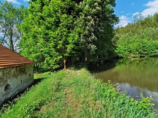 Obraz premium wooden bridge in the park