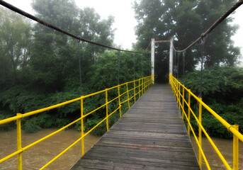 suspension bridge in the forest