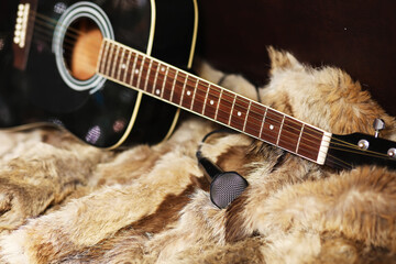Old dusty acoustic cutaway guitar on a floor. Spruce dreadnought acoustic guitar. Guitar on a fur...