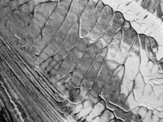 The black white acrylic painting texture background