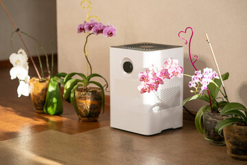 Air humidifier near the orchid flowers at home. Ultrasonic technology, comfortable living conditions, moisture increase in the apartment.
