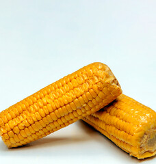 Corn cob surrounded by white background