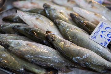 Fresh sea fish sell in fishery market