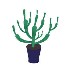 Cactus striped in house pot vector illustration eps. 10