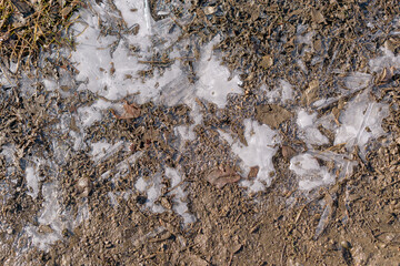 White ice on moist soil. Concept - winter frost, cold.