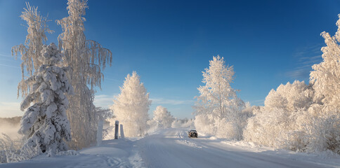 Obraz premium Winter morning on Reftinsky reservoir with snow-covered forest and road, Russia, Ural in January