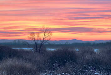 Blue Golden dawn in the foothills of Altai