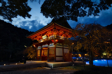 Obraz premium 夜のお寺