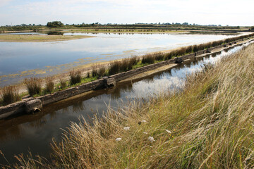 La Faute sur Mer - Estuaire du Lay