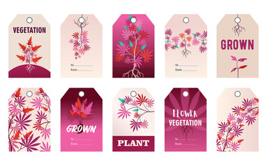 Promotional pink tag designs with hemp plant