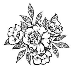 Doodle art flower and leaf isolated on white background. Hand drawn illuatration Peony flower.