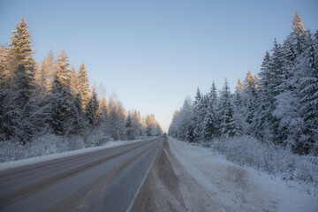 Car paved road in the middle of a snow-covered forest under a bright blue sky. Winter landscape.