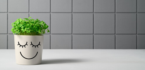 Gray pot with funny face in which grows arugula microgreens on background gray brick wall. Funny flower pot with smiley face stands on table. Springtime home gardening concept. Copy space