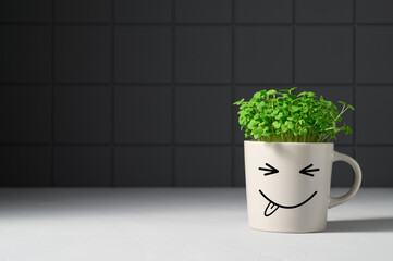 Gray mug with funny face in which grows arugula microgreens on background dark gray brick wall. Funny flower pot with smiley face stands on table. Springtime home gardening concept. Copy space