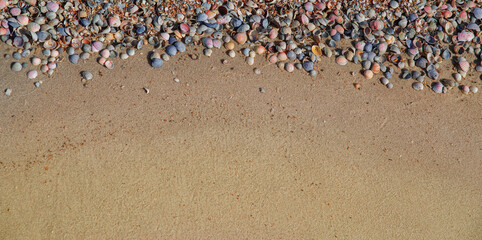 Very beautiful seashells on the sand, we got an excellent background on the marine theme