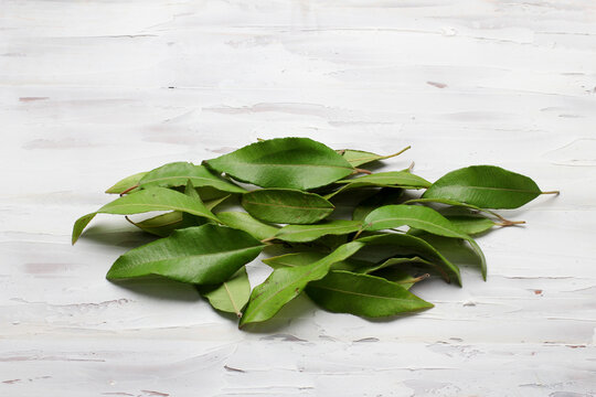 Lemon Myrtle Leaves