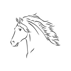 Obraz na płótnie Canvas Vector silhouette of a horse. beautiful horse vector sketch illustration