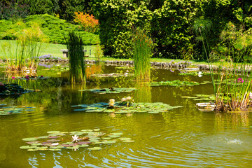 Beautiful pond in Sigurta park in Italy in summer